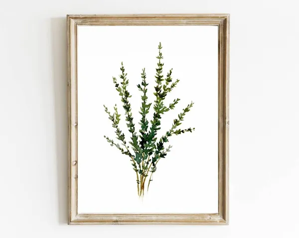 Thyme Watercolor Kitchen Wall Art, Farmhouse Decor