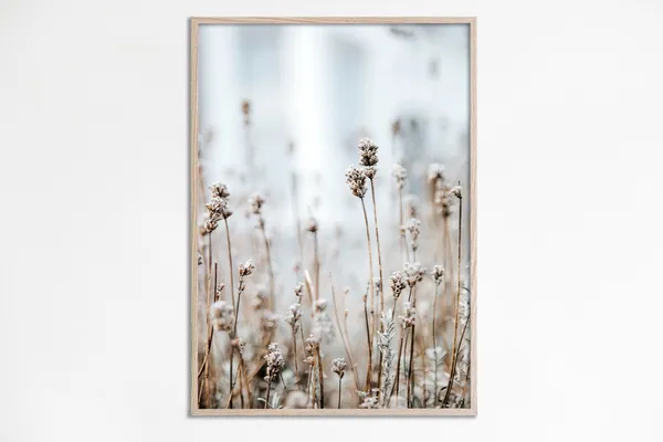 Wildflowers Photography Neutral Farmhouse Art Print