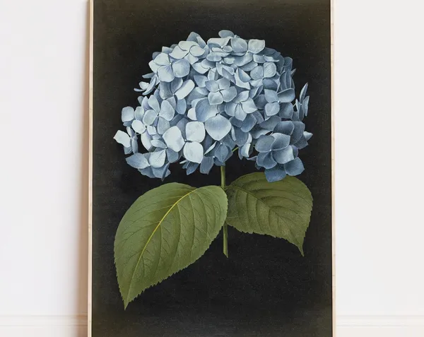 Blue Hydrangea Vintage Flower Art Print
