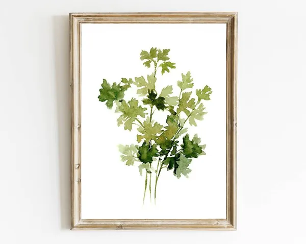 Kitchen Herbs Watercolor Painting Parsley Art Print