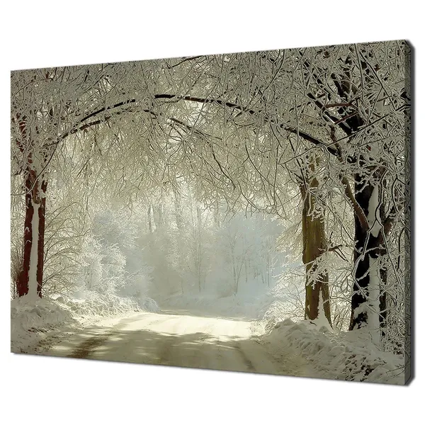Winter Road Through Frozen Trees, Modern Art Print