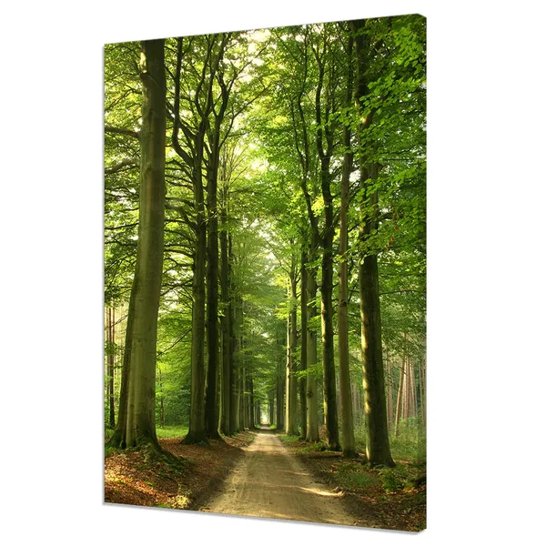 Green Forest Road, Modern Design Art Print
