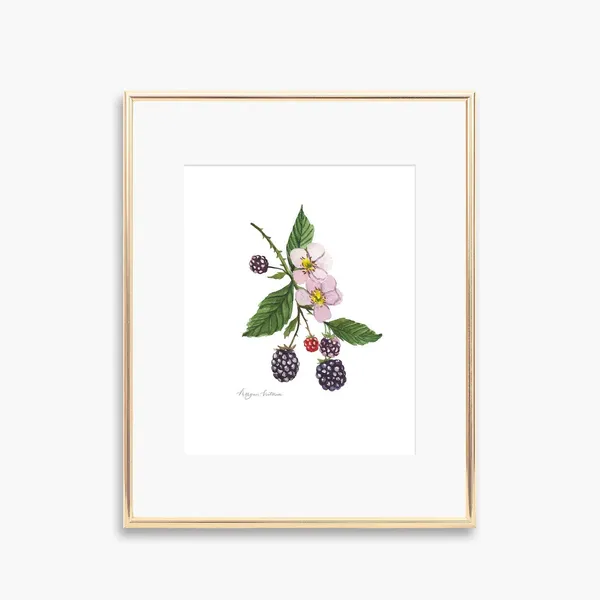 Blackberry Watercolor Art Print, Summer Kitchen Decor