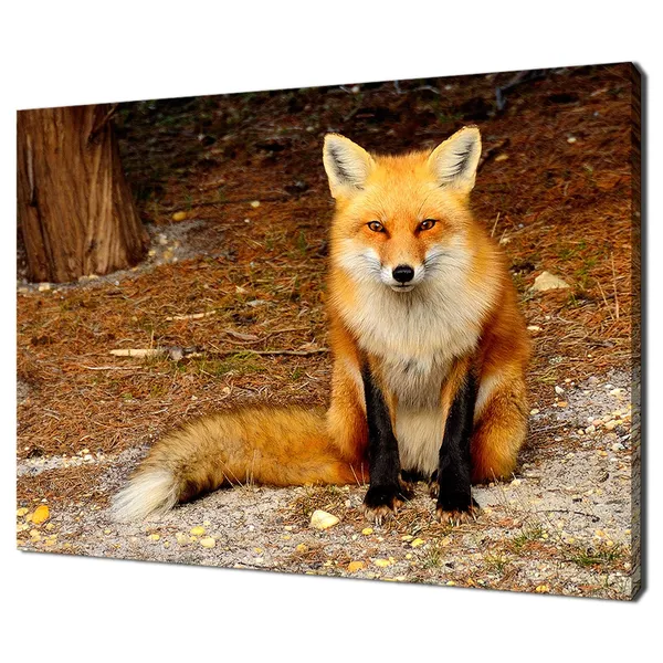 Red Fox in Autumn Forest, Modern Wall Art Print