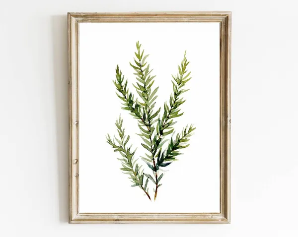 Rosemary Watercolor Herbs Kitchen Art Print