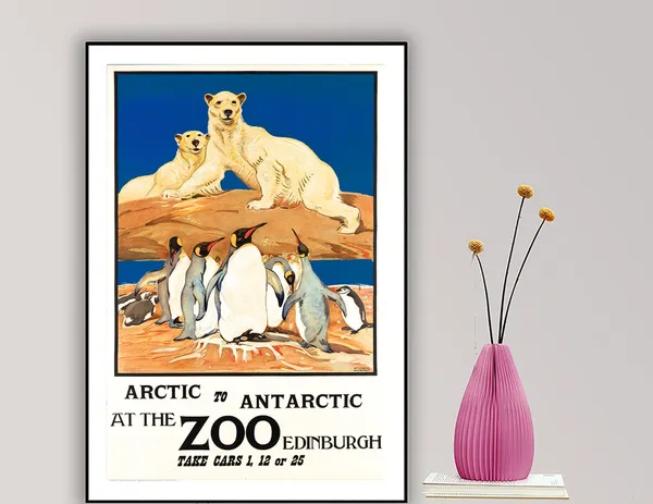 Arctic to Antarctic at the Zoo Edinburgh Travel Poster
