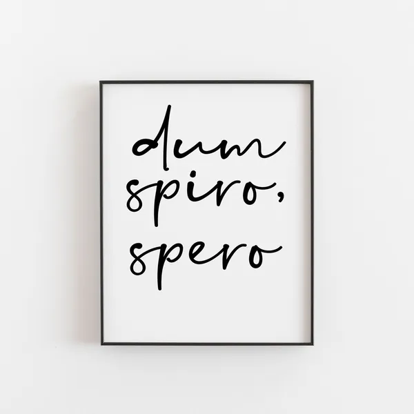 Dum Spiro Spero Spanish Quote Art Print, Spain