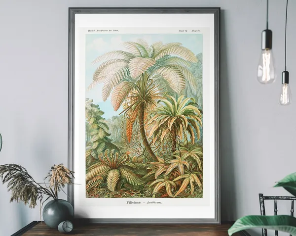 Vintage Ferns Art Print, Ernst Haeckel Botanical Illustration