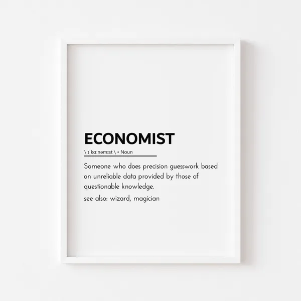 Economist Definition Poster, Office Decor Gift