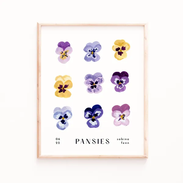Pansies Botanical Flower Watercolor Art Print