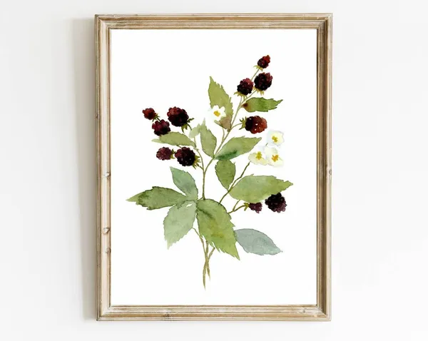 Blackberry Watercolor Botanical Garden Art Print