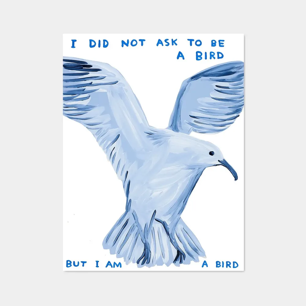 I Did Not Ask To Be A Bird Art Print