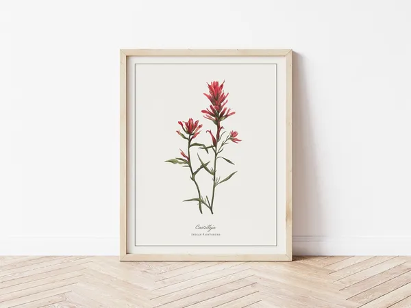 Paintbrush Botanical Illustration Watercolour Art Print