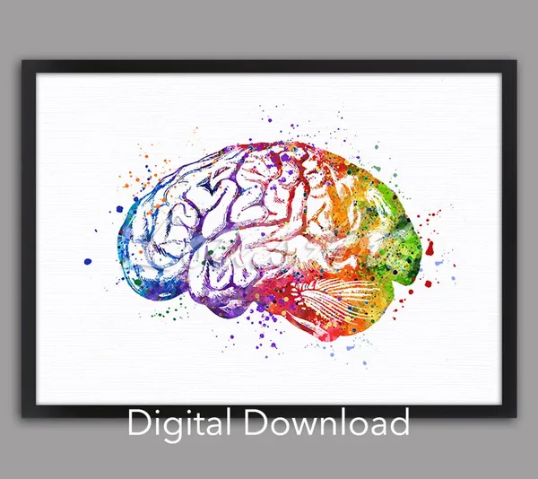 Brain Anatomy Watercolor Poster, Neurology Decor