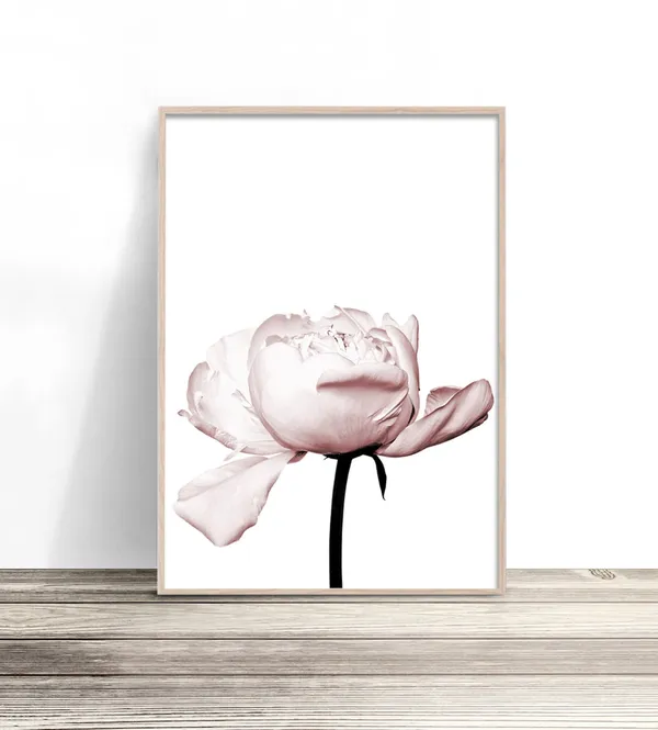 Blush Pink Peony Floral Artwork, Botanical Print
