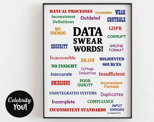 Data Swear Words Office Decor Funny Wall Art Print