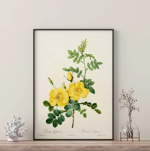 Yellow Flower Branch Botanical Watercolor Art Print