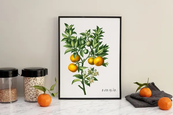 Orange Tree Botanical Watercolor Art Print