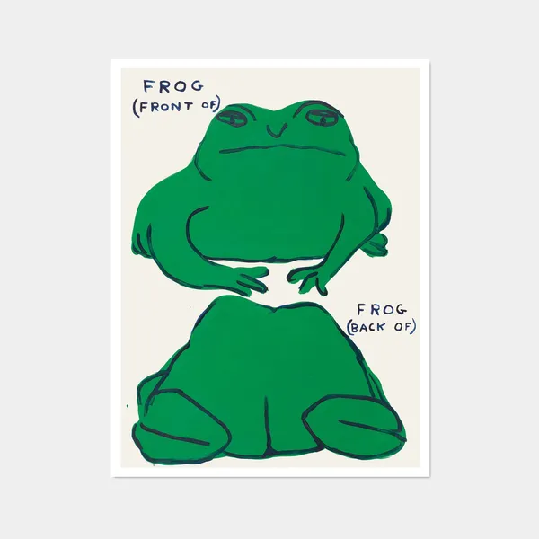 Frog Front Of Back Art Print