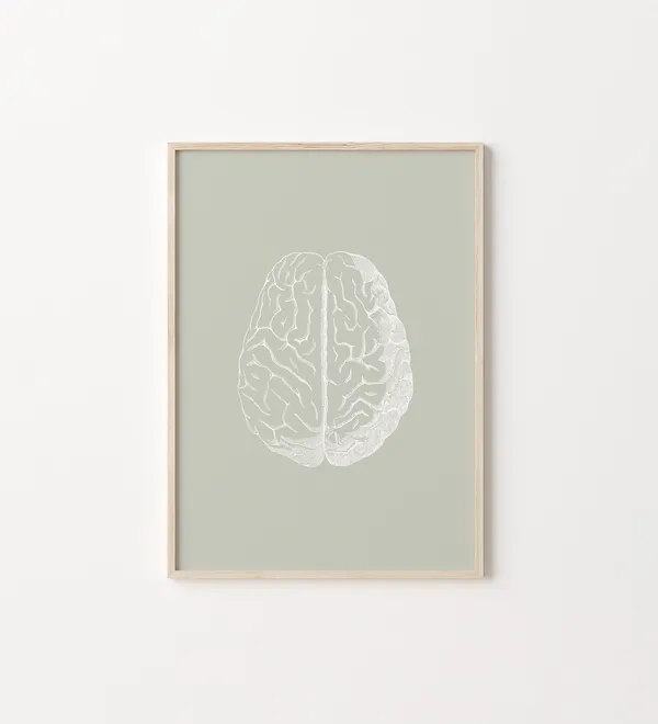 Brain Anatomy Art Poster, Therapy Office Decor