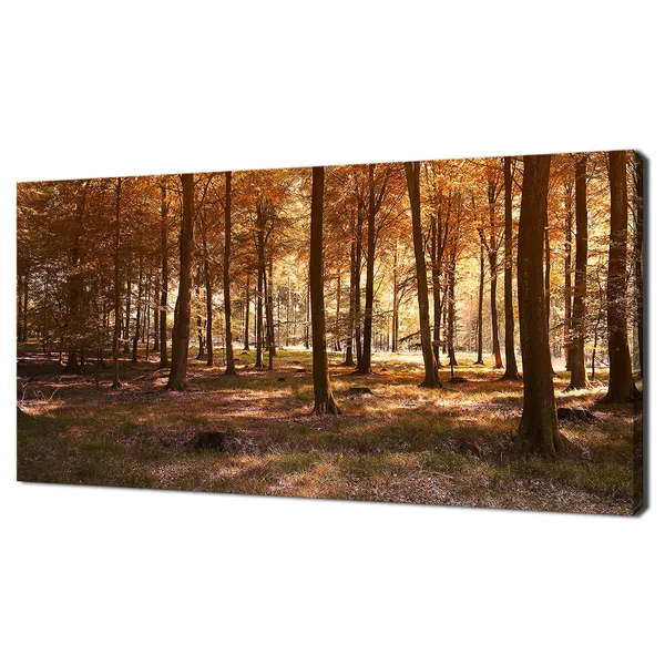 Autumn Forest Modern Design Home Decor Art Print