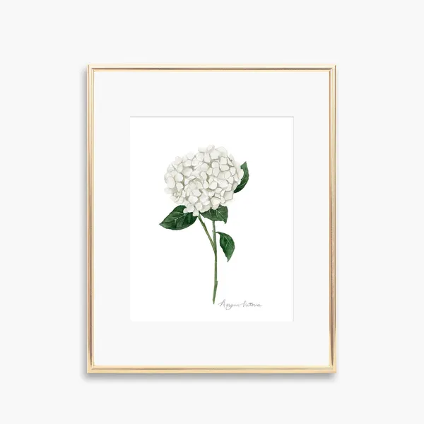 Hydrangea Watercolor Art Print, Floral Wall Decor