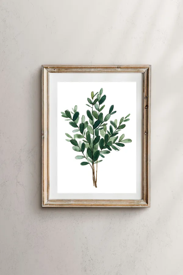 Eucalyptus Leaves Botanical Art Print