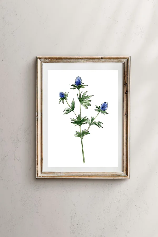 Blue Thistle Botanical Wall Art Print, Floral Decor