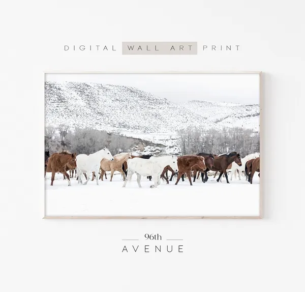 Winter Horses Farmhouse Horse Photography Art Print