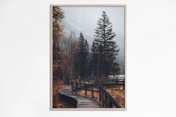 Fall Forest Print, Autumn Landscape Art Print