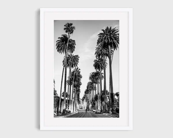 Beverly Hills Palm Trees Bike Ride, Los Angeles Poster