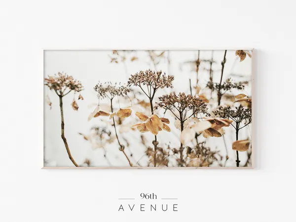 Dry Wildflowers Art Print for TV, Botanical Decor