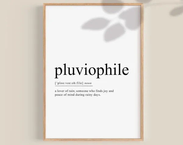 Pluviophile Definition Quote Print, Boho Decor