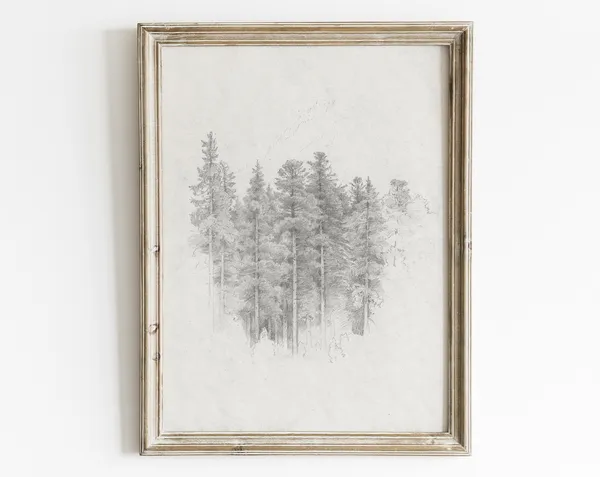 Vintage Pine Tree Forest Sketch, Rustic Winter Art Print