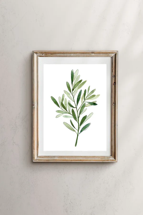 Olive Branch Botanical Art Print, Botanical Wall Art