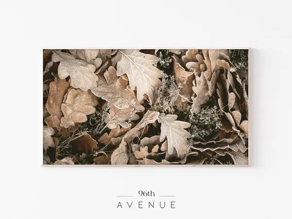 Autumn Leaves Poster Print