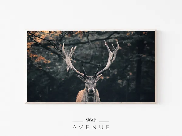 Autumn Forest Reindeer Wildlife Art Print