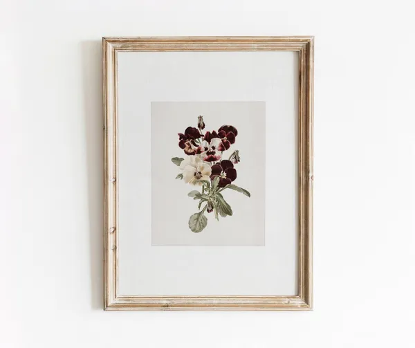Pansy Bunch Vintage Botanical Art Print