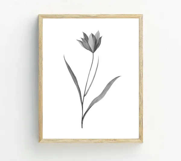 Black And White Tulip Print, Farmhouse Floral Art