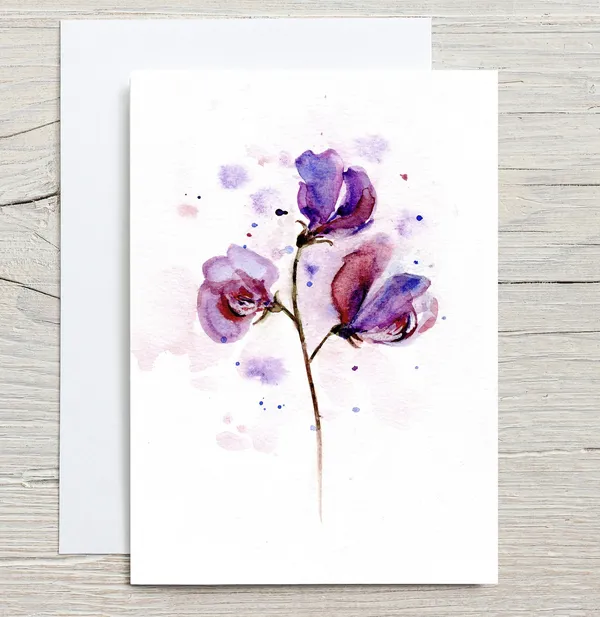 Sweet Pea Botanical Card, Floral Art Print