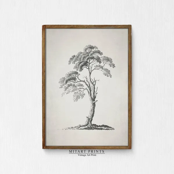 Antique Tree Sketch, Vintage Neutral Art Print