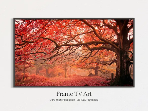 Autumn Landscape Bokeh, Fall Landscape Art Print