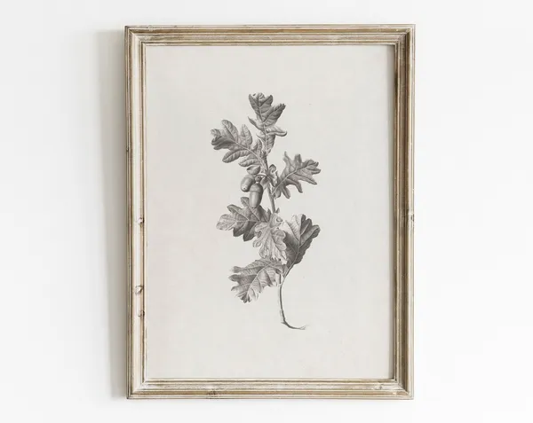 Vintage Oak Leaf Print, Antique Botanical Art Print