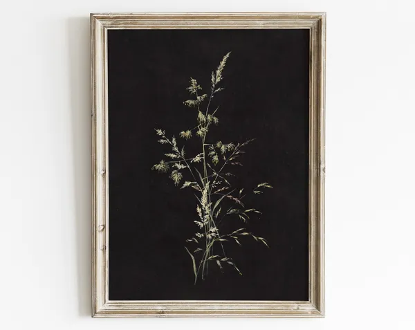 Vintage Botanical Grass Art Print, Dark Academia Floral