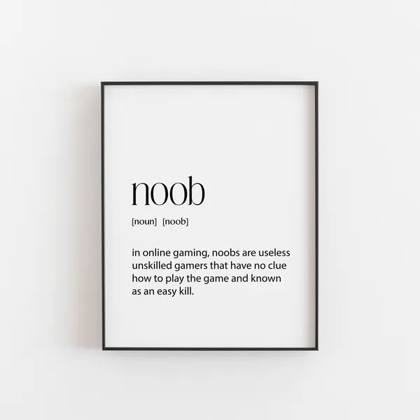 Noob Definition Gift Print for Games Room, Teen Decor