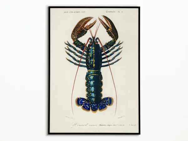 Vintage Lobster Poster, Nautical Sea Life Art Print