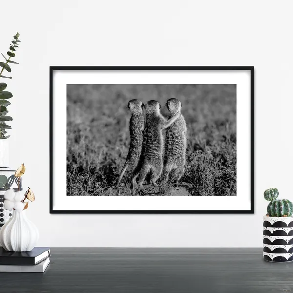 Meerkats Photographic Print, Animal Wall Art