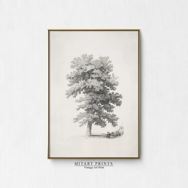 Vintage Tree Sketch Print, Neutral Farmhouse Decor