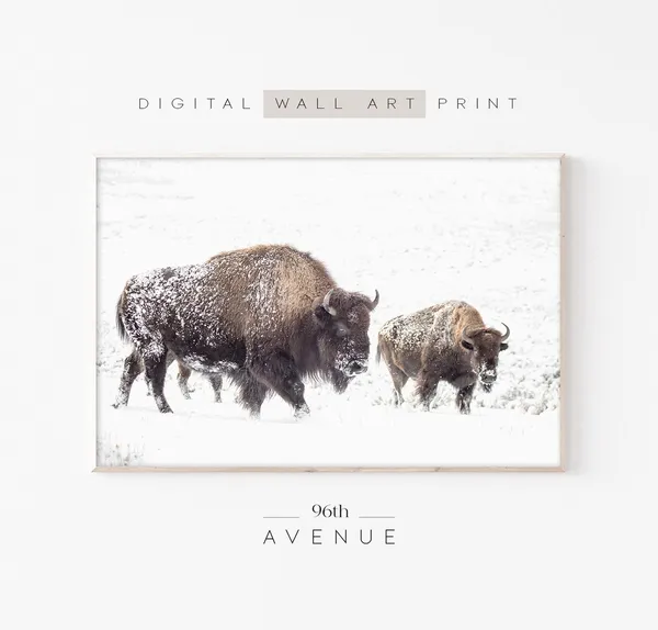 Winter Bison Western Wall Art Print