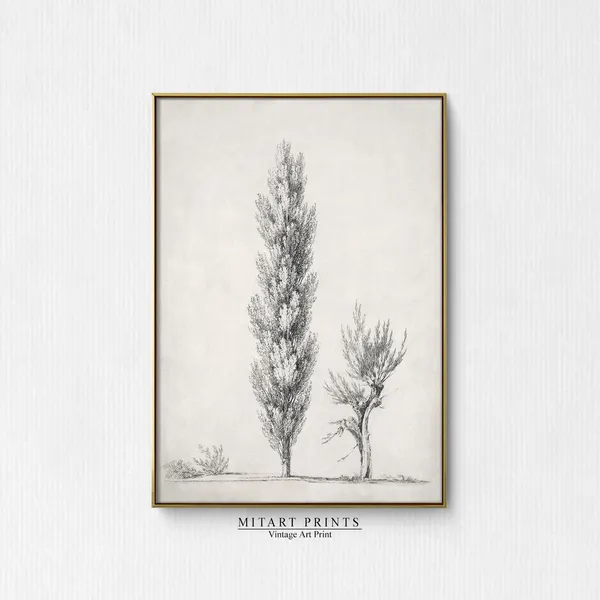 Antique Rustic Tree Sketch, Vintage Landscape Art Print